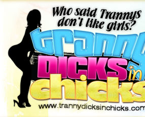 Tranny Dicks In Chicks - Hardcore Shemale on Girl Porn Movies